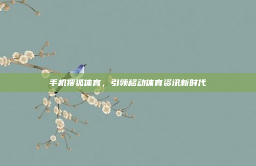 手机搜狐体育，引领移动体育资讯新时代