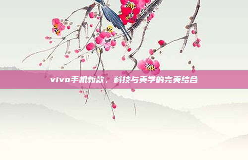 vivo手机新款，科技与美学的完美结合