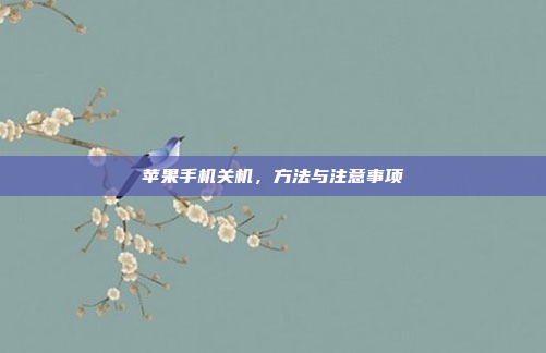 苹果手机关机，方法与注意事项
