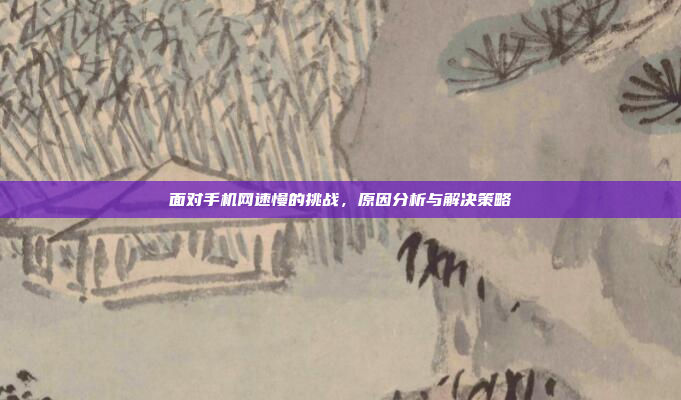 面对手机网速慢的挑战，原因分析与解决策略
