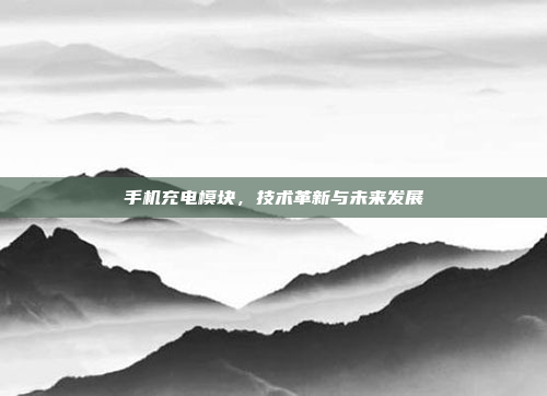 手机充电模块，技术革新与未来发展
