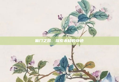 偏门之路,探索未知的奇迹
