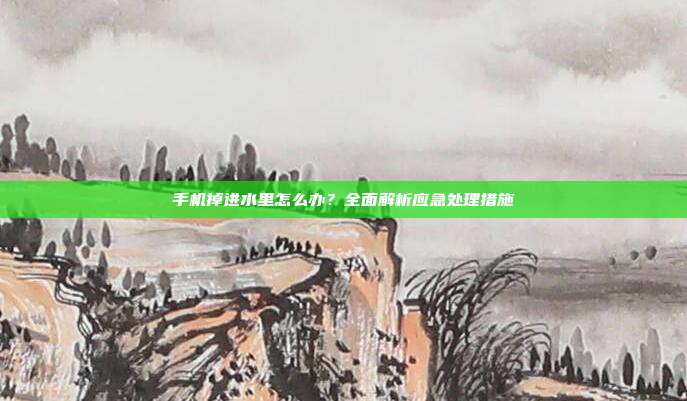 手机掉进水里怎么办？全面解析应急处理措施
