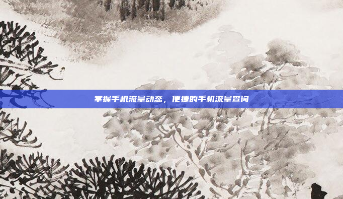 掌握手机流量动态，便捷的手机流量查询