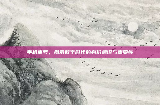 手机串号，揭示数字时代的身份标识与重要性