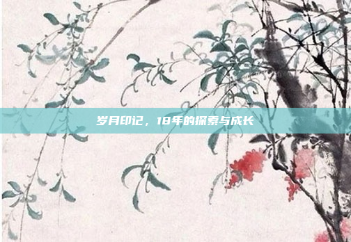岁月印记,18年的探索与成长