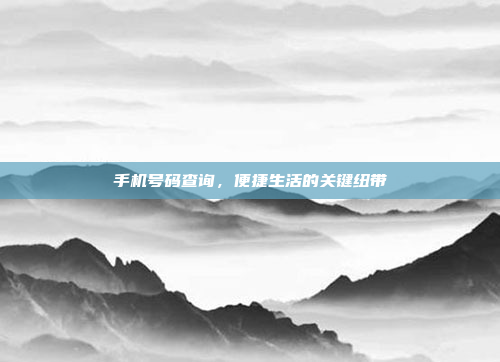 手机号码查询，便捷生活的关键纽带
