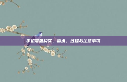 手机号码购买,需求、过程与注意事项