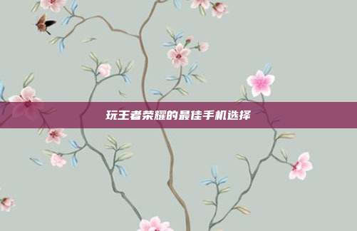 玩王者荣耀的最佳手机选择