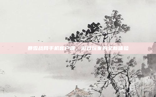 暴雪战网手机客户端,游戏玩家的全新体验