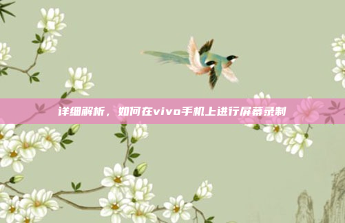 详细解析,如何在vivo手机上进行屏幕录制