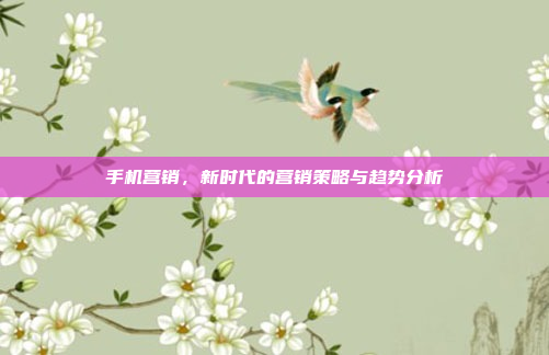 手机营销,新时代的营销策略与趋势分析