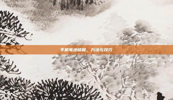 手机电池修复,方法与技巧