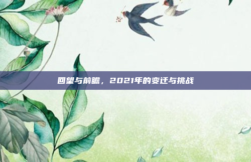 回望与前瞻,2021年的变迁与挑战