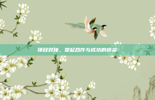 项目对接,架起合作与成功的桥梁