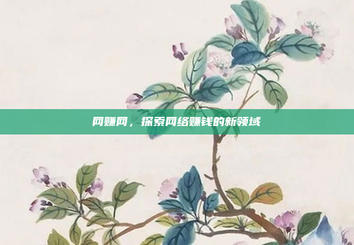 网赚网,探索网络赚钱的新领域