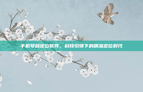 手机号码定位软件,科技引领下的精准定位时代