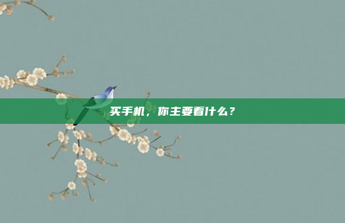 买手机,你主要看什么?