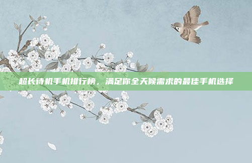 超长待机手机排行榜,满足你全天候需求的最佳手机选择