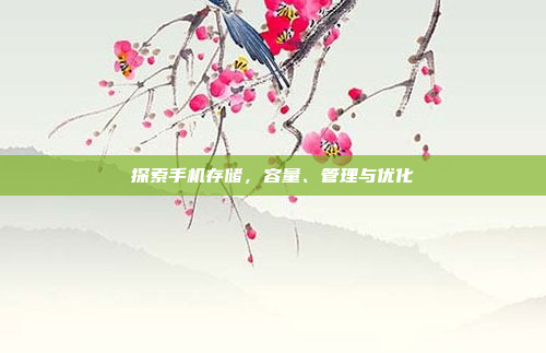 探索手机存储,容量、管理与优化