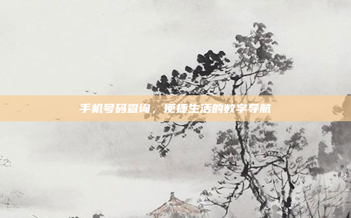 手机号码查询,便捷生活的数字导航