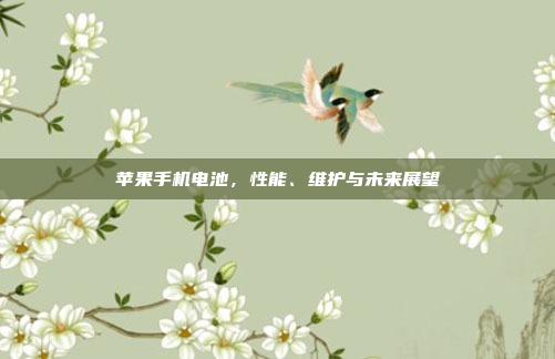 苹果手机电池,性能、维护与未来展望