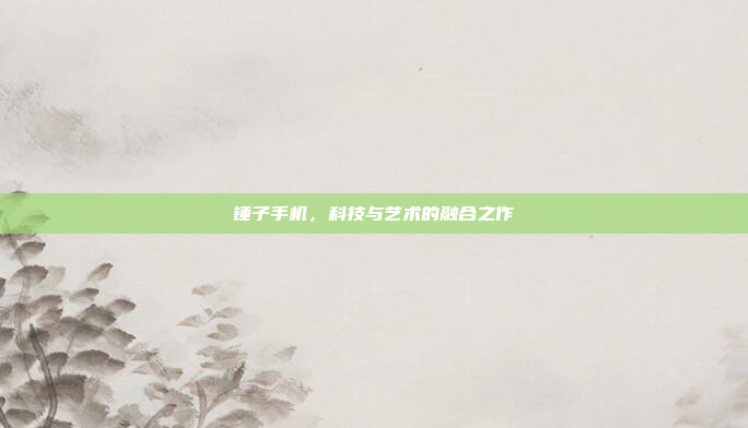 锤子手机,科技与艺术的融合之作