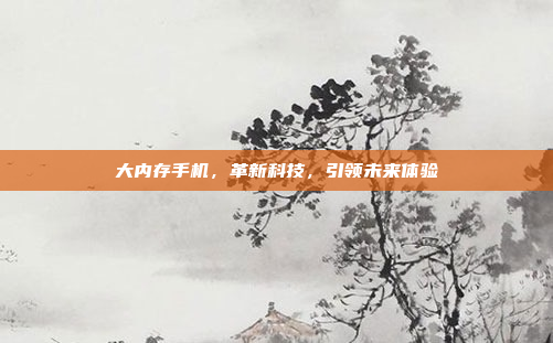 大内存手机,革新科技,引领未来体验