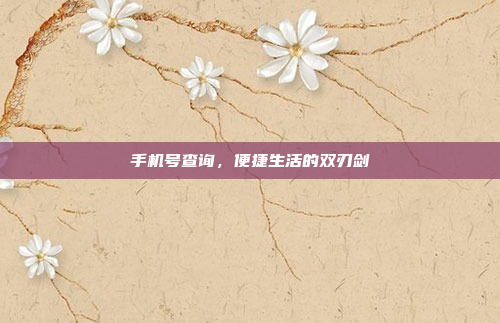 手机号查询,便捷生活的双刃剑