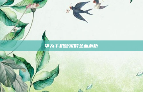 华为手机管家的全面解析