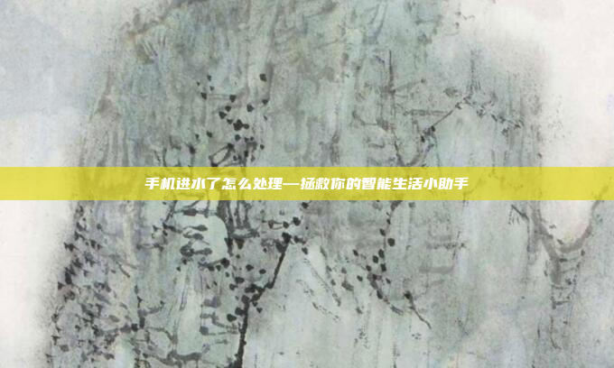 手机进水了怎么处理—拯救你的智能生活小助手
