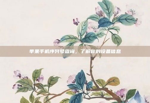 苹果手机序列号查询,了解你的设备信息