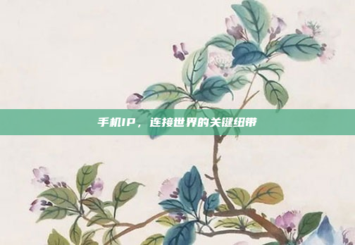 手机IP,连接世界的关键纽带