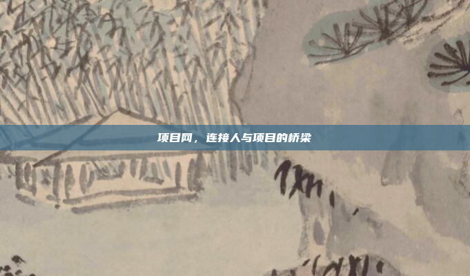 项目网,连接人与项目的桥梁