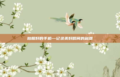 拍照好的手机—记录美好瞬间的利器