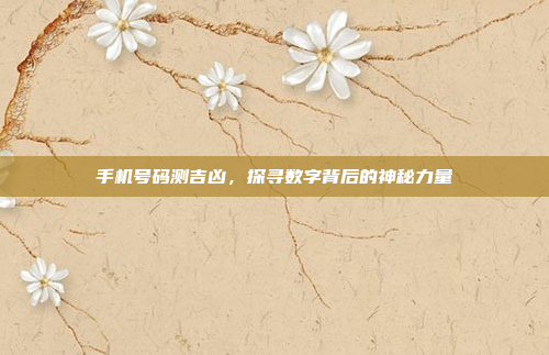手机号码测吉凶,探寻数字背后的神秘力量