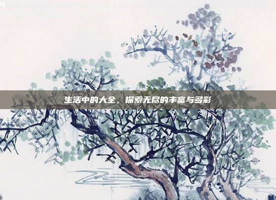 生活中的大全,探索无尽的丰富与多彩