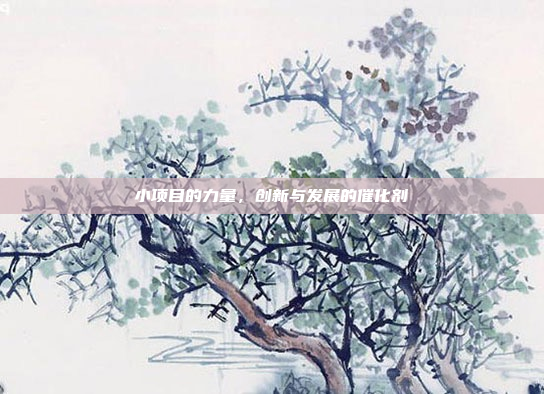 小项目的力量,创新与发展的催化剂