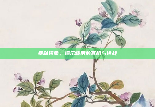 暴利现象,揭示背后的真相与挑战