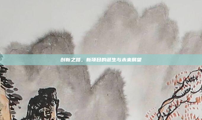 创新之路,新项目的诞生与未来展望