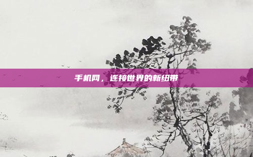 手机网,连接世界的新纽带