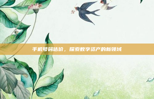 手机号码估价,探索数字资产的新领域