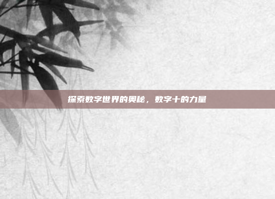 探索数字世界的奥秘,数字十的力量