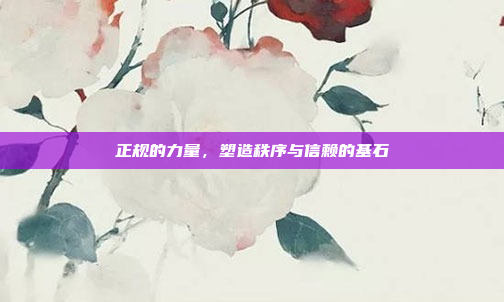 正规的力量,塑造秩序与信赖的基石
