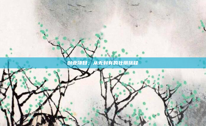创业项目,从无到有的壮丽旅程