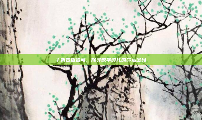 手机吉凶查询,探寻数字时代的命运密码