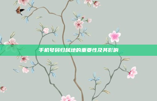 手机号码归属地的重要性及其影响