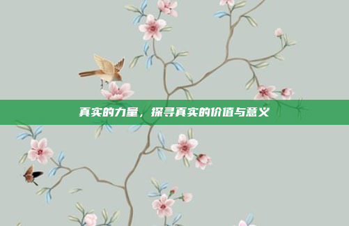 真实的力量,探寻真实的价值与意义
