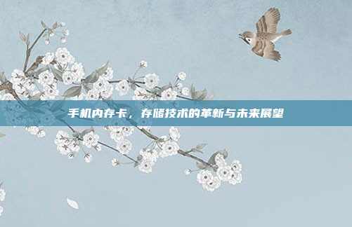 手机内存卡,存储技术的革新与未来展望