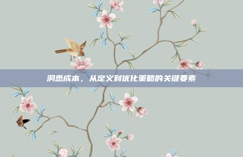 洞悉成本,从定义到优化策略的关键要素